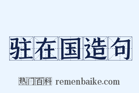 驻在国造句是什么意思的图片